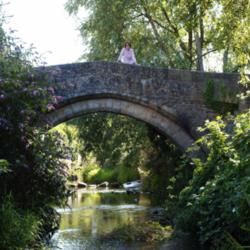 Location: Bow Bridge, a packhorse bridge over the River Brue in Bruton, Somerset, July 2006
Date: 2007-06-22
Photo courtesy of: Peter Guest