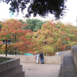 Location: Fort Worth, Tx
Date: Fall, 2007
