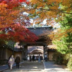 Location: Autumn maple leaves (momiji) at Kongobu-ji on Mount Koya, a UNESCO World Heritage Site
Photo courtesy of: 663highland