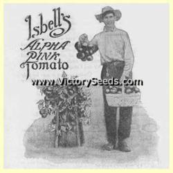 
1915 Isbell's Seed Co. catalog image.