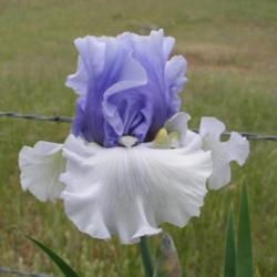 Location: north central Texas
Date: 2005-05-02