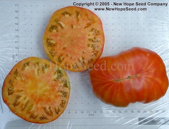 Photo of Tomato (Solanum lycopersicum 'Big Rainbow') uploaded by farmergrass