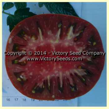 Photo of Tomato (Solanum lycopersicum 'Paul Robeson') uploaded by MikeD