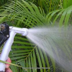 Use a Hose To Spray Off Pests the Organic Way