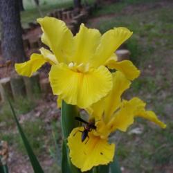 Location: north central Texas
Date: 2004-05-07