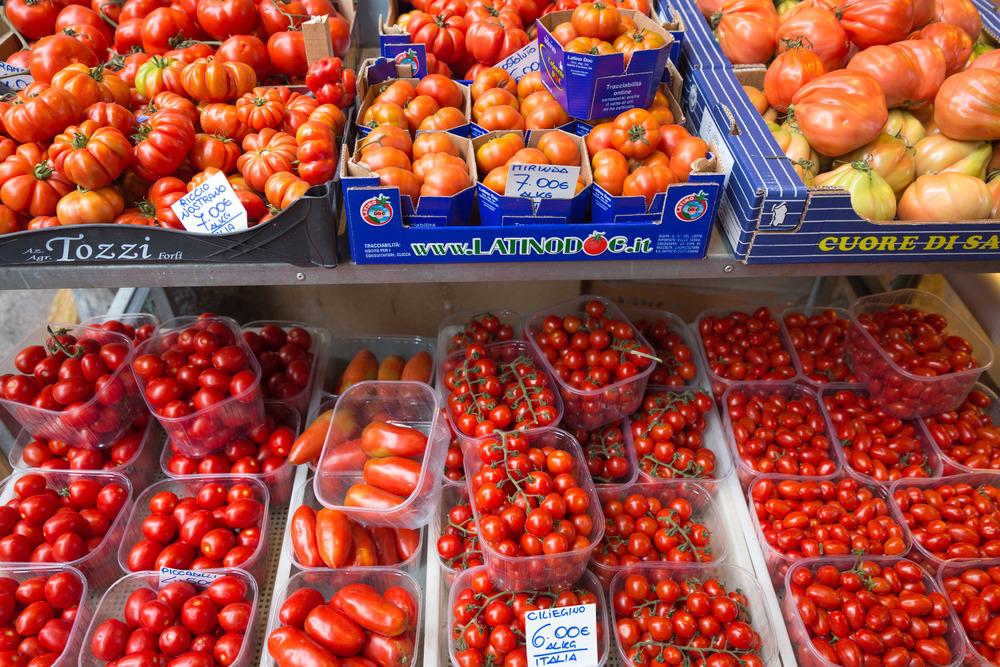 Photo of Tomatoes (Solanum lycopersicum) uploaded by admin