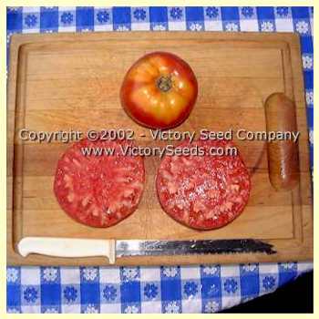 Photo of Tomato (Solanum lycopersicum 'Oregon Spring') uploaded by MikeD