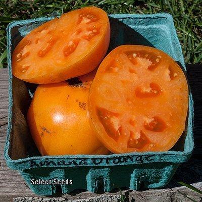 Photo of Tomato (Solanum lycopersicum 'Amana Orange') uploaded by Joy