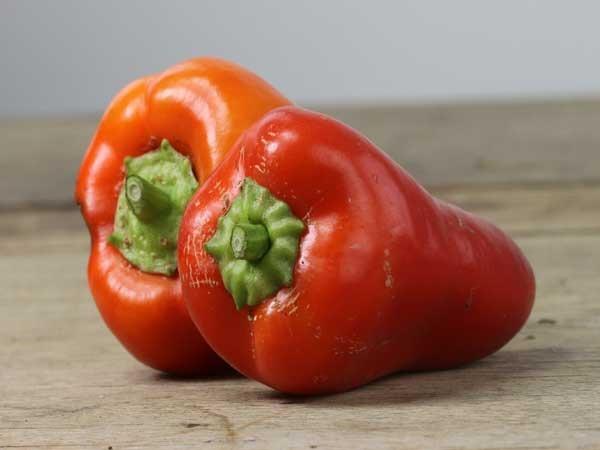 Photo of Sweet Pepper (Capsicum annuum 'Red Belgian') uploaded by Joy