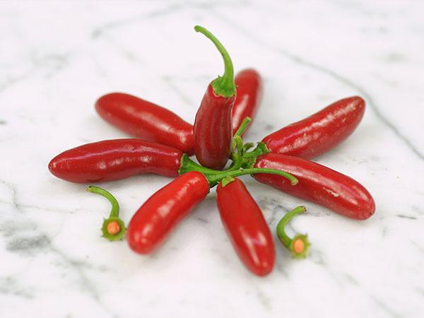 Photo of Hot Pepper (Capsicum annuum 'Serrano Tampiqueno') uploaded by Joy