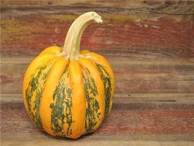 Photo of Pumpkin (Cucurbita pepo 'Americana Tonda') uploaded by Joy