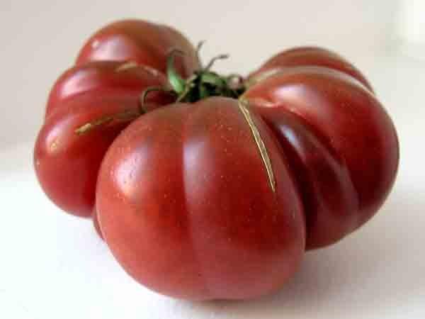 Photo of Tomato (Solanum lycopersicum 'Purple Calabash') uploaded by Joy