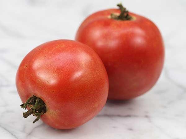 Photo of Tomato (Solanum lycopersicum 'Traveler') uploaded by Joy