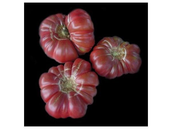 Photo of Tomato (Solanum lycopersicum 'Purple Calabash') uploaded by Joy