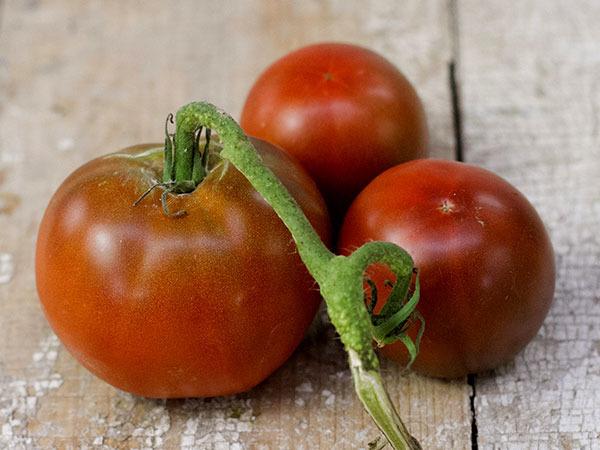 Photo of Tomato (Solanum lycopersicum 'Black Prince') uploaded by Joy