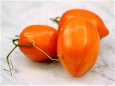 Photo of Tomato (Solanum lycopersicum 'Roma') uploaded by Joy