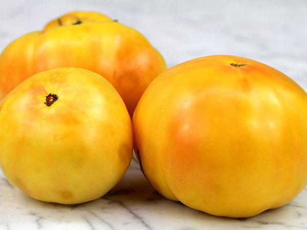Photo of Tomato (Solanum lycopersicum 'Old Yellow Candy Stripe') uploaded by Joy