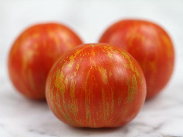 Photo of Tomato (Solanum lycopersicum 'Tigerella') uploaded by Joy