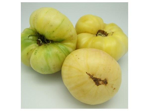 Photo of Tomato (Solanum lycopersicum 'Fantome du Laos') uploaded by Joy