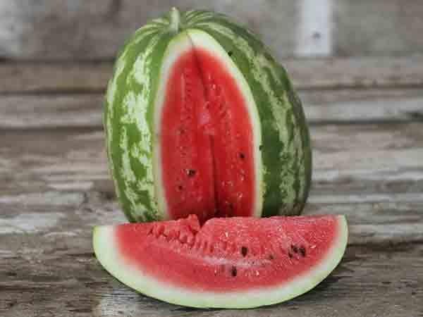 Photo of Watermelon (Citrullus lanatus 'Crimson Sweet') uploaded by Joy