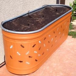 Thinking Outside the Box! Re-Purposing Stock Tanks as Raised Garden Beds