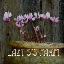 Photo of Hardy Cyclamen (Cyclamen hederifolium) uploaded by Joy