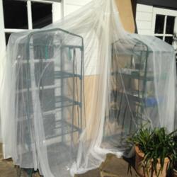 Mosquito Net as a Shadecloth