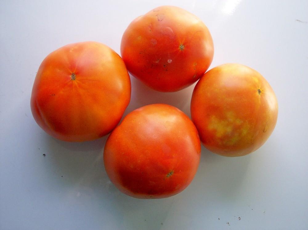 Photo of Tomato (Solanum lycopersicum 'PS 01522942') uploaded by farmerdill