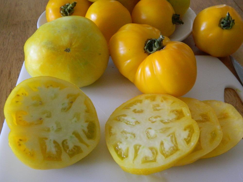 Photo of Tomato (Solanum lycopersicum 'Lillian's Yellow Heirloom') uploaded by wildflowers
