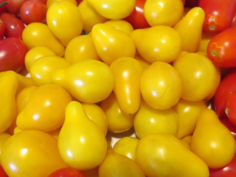 Photo of Tomato (Solanum lycopersicum 'Yellow Pear') uploaded by Natalie