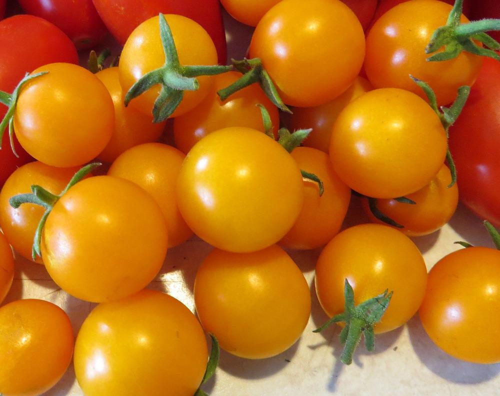 Photo of Tomato (Solanum lycopersicum 'SunSugar F1') uploaded by Natalie