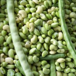 Of Cowpeas, Butterbeans and Okra