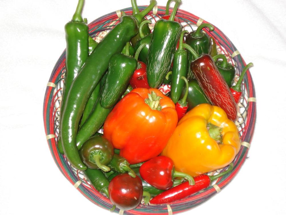 Photo of Peppers (Capsicum) uploaded by Weedwhacker