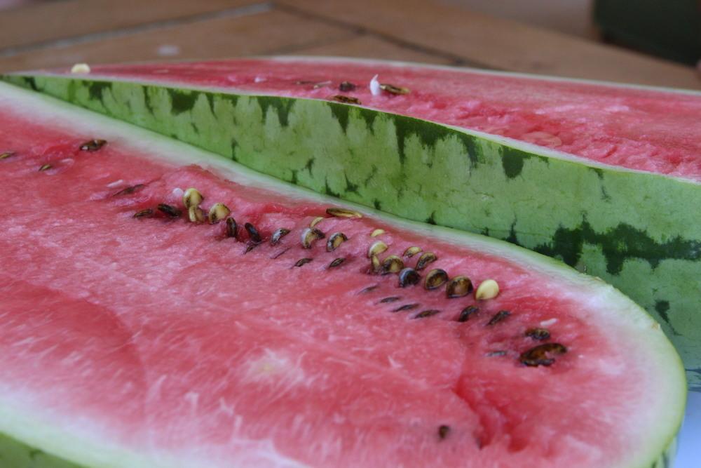 Photo of Watermelon (Citrullus lanatus 'Georgia Rattlesnake') uploaded by dave