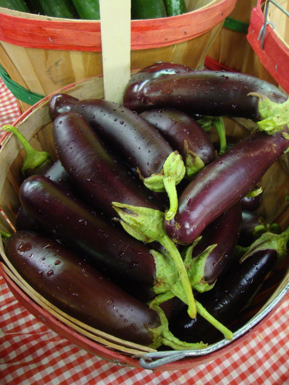 Photo of Eggplant (Solanum melongena 'Orient Express') uploaded by Paul2032