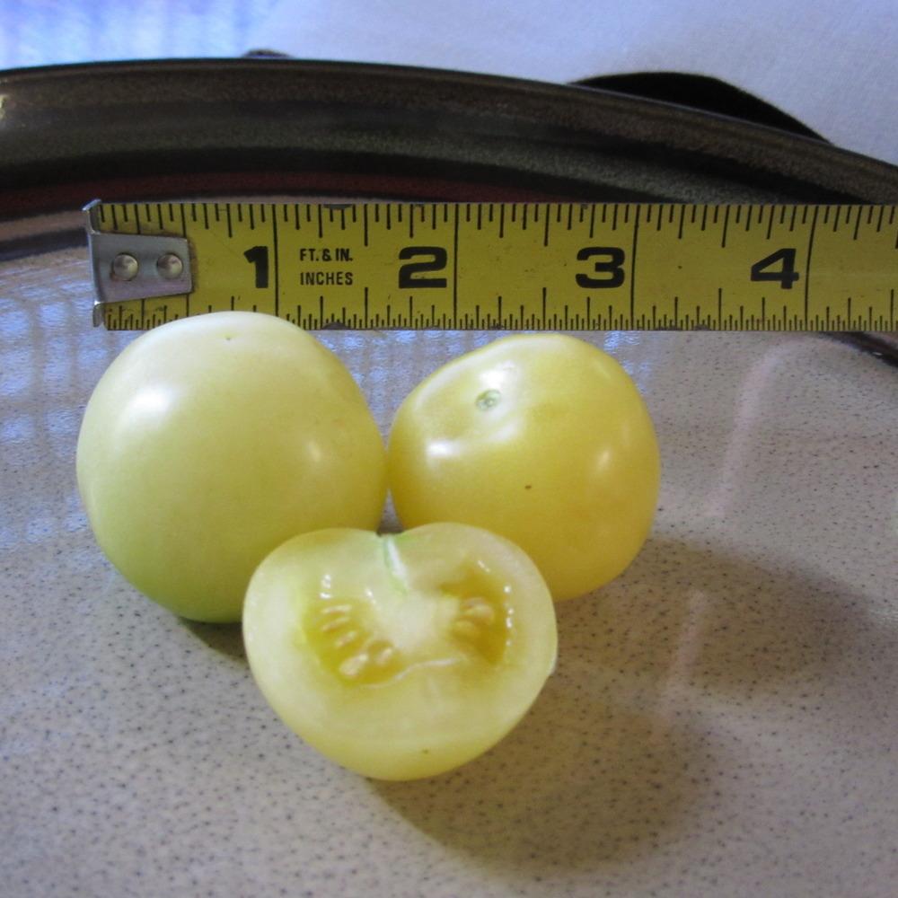 Photo of Tomato (Solanum lycopersicum 'Lemon Cherry') uploaded by Bonehead
