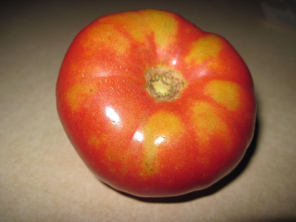 Photo of Tomato (Solanum lycopersicum 'Mortgage Lifter') uploaded by robertduval14