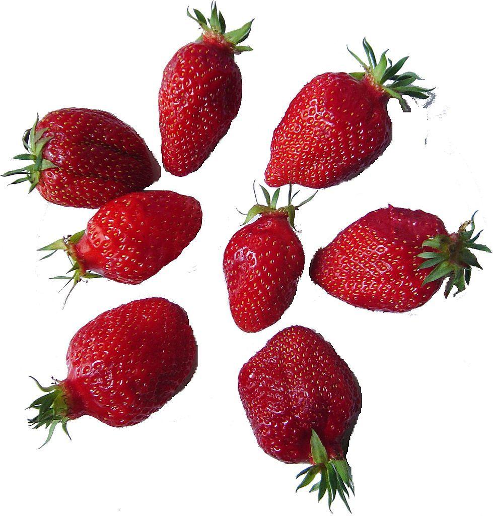 Photo of Strawberry (Fragaria x ananassa 'Gariguette') uploaded by robertduval14