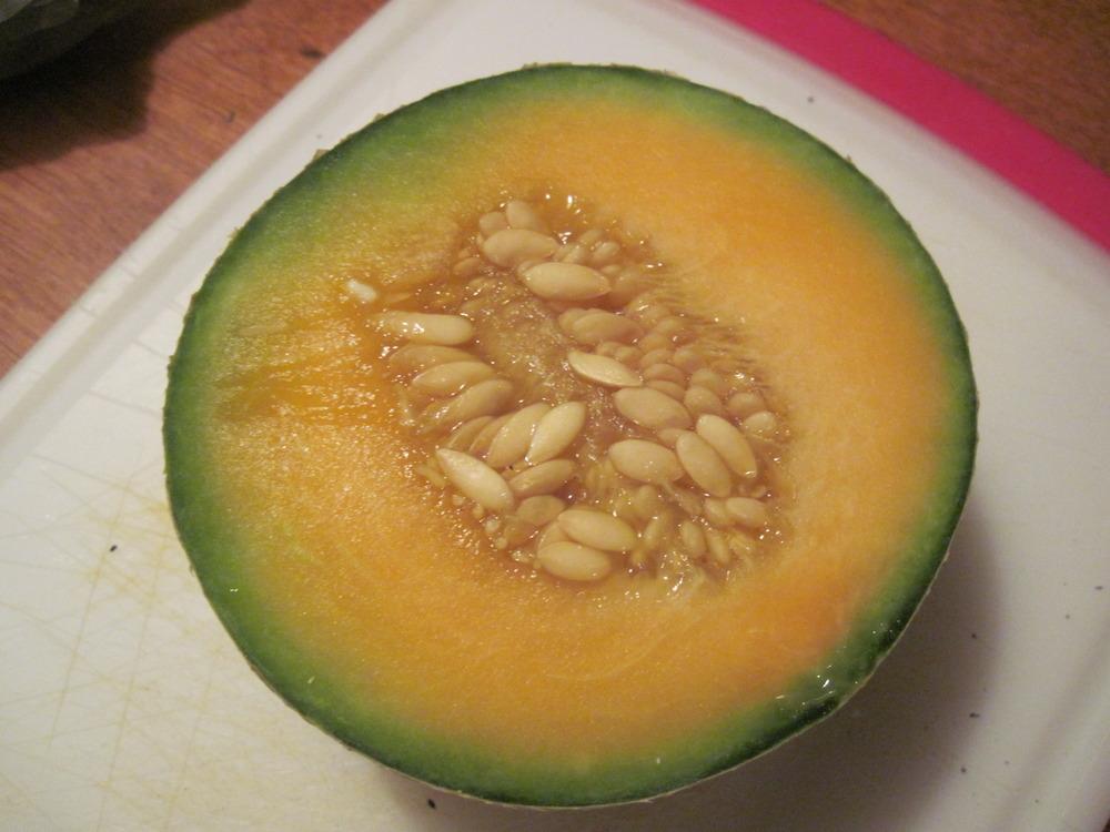 Photo of Cantaloupes (Cucumis melo) uploaded by robertduval14