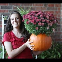 Video: Planting Mums in Pumpkins