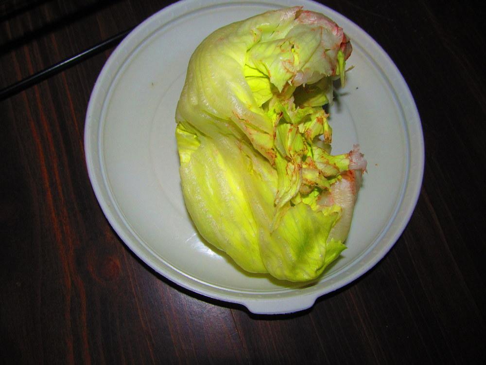 Photo of Lettuces (Lactuca sativa) uploaded by jmorth