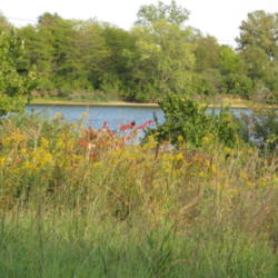 Location: central Illinois
Date: 2012-09-24
Lake Sanchris