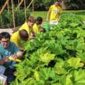 National Garden Bureau Accepting Applications for Therapeutic Garden Grants