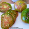 This heirloom variety is producing many large fruits, a pound or 