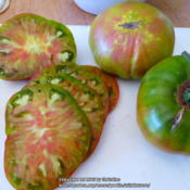 This heirloom variety is producing many large fruits, a pound or 