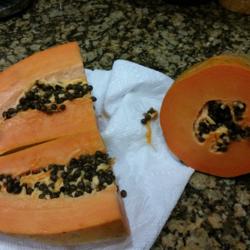 Location: On my kitchen counter
Date: 2015-12-31
Showing a harvested papaya from my garden