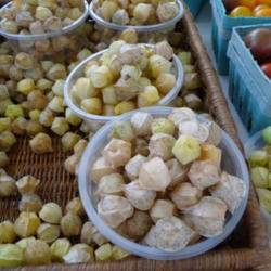 Location: Indiana  zone 5
Date: 2016-08-02
Sweet husk cherries at the farmers market