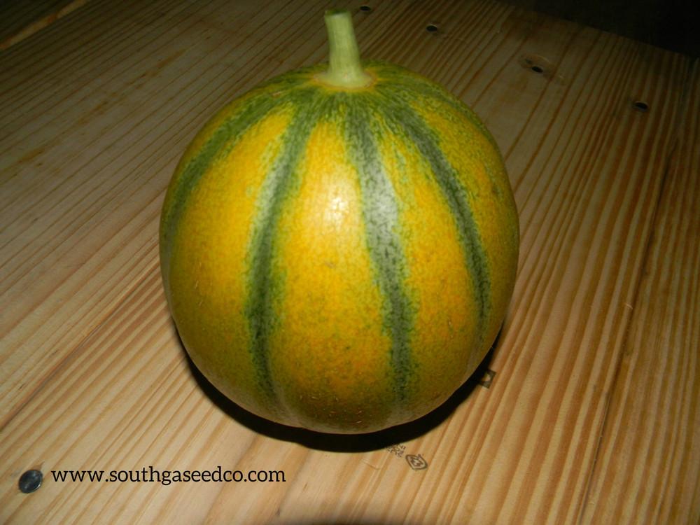 Photo of Melon (Cucumis melo 'Ogen') uploaded by SouthGASeedCo
