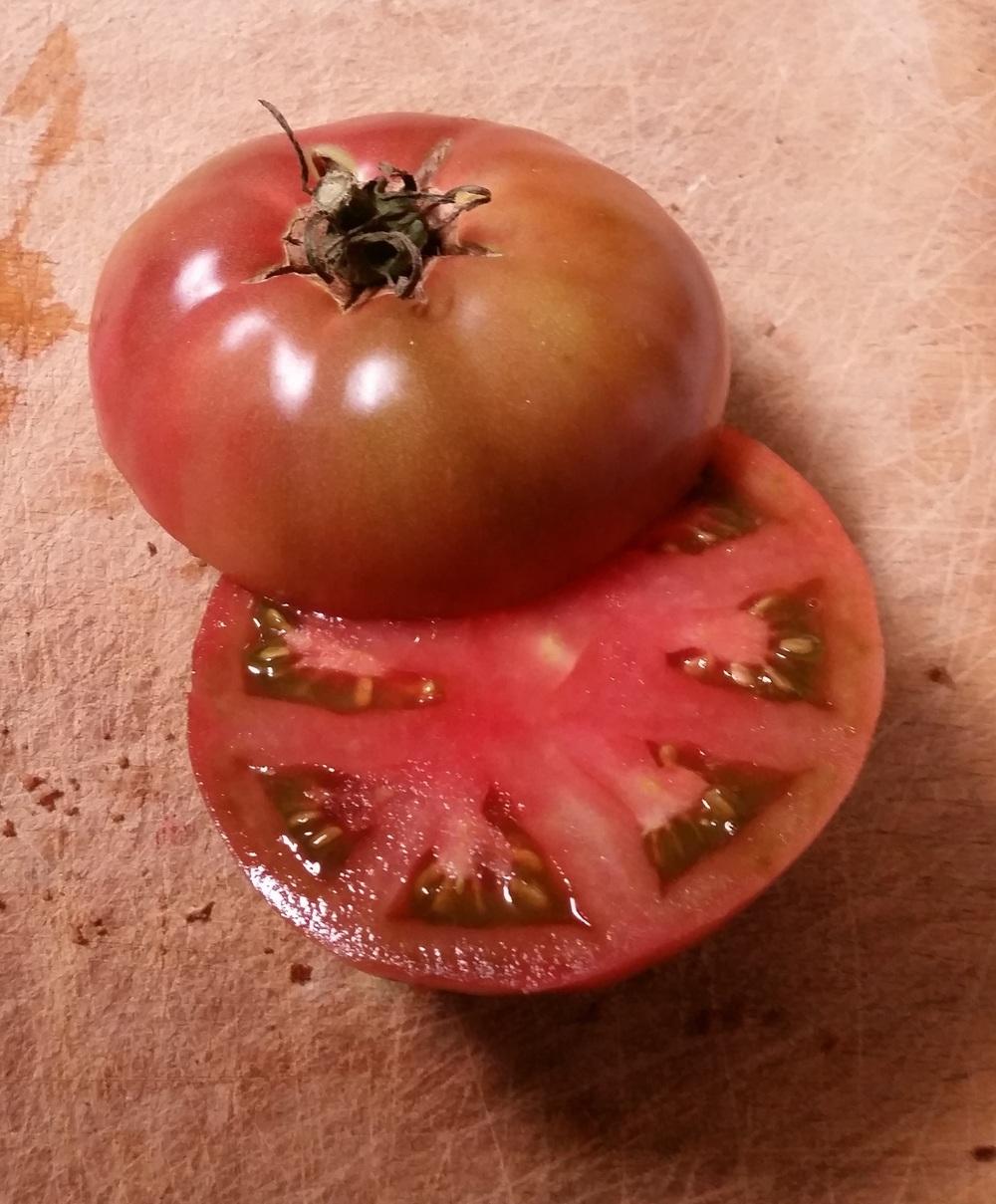 Photo of Tomato (Solanum lycopersicum 'Cherokee Purple') uploaded by robynanne