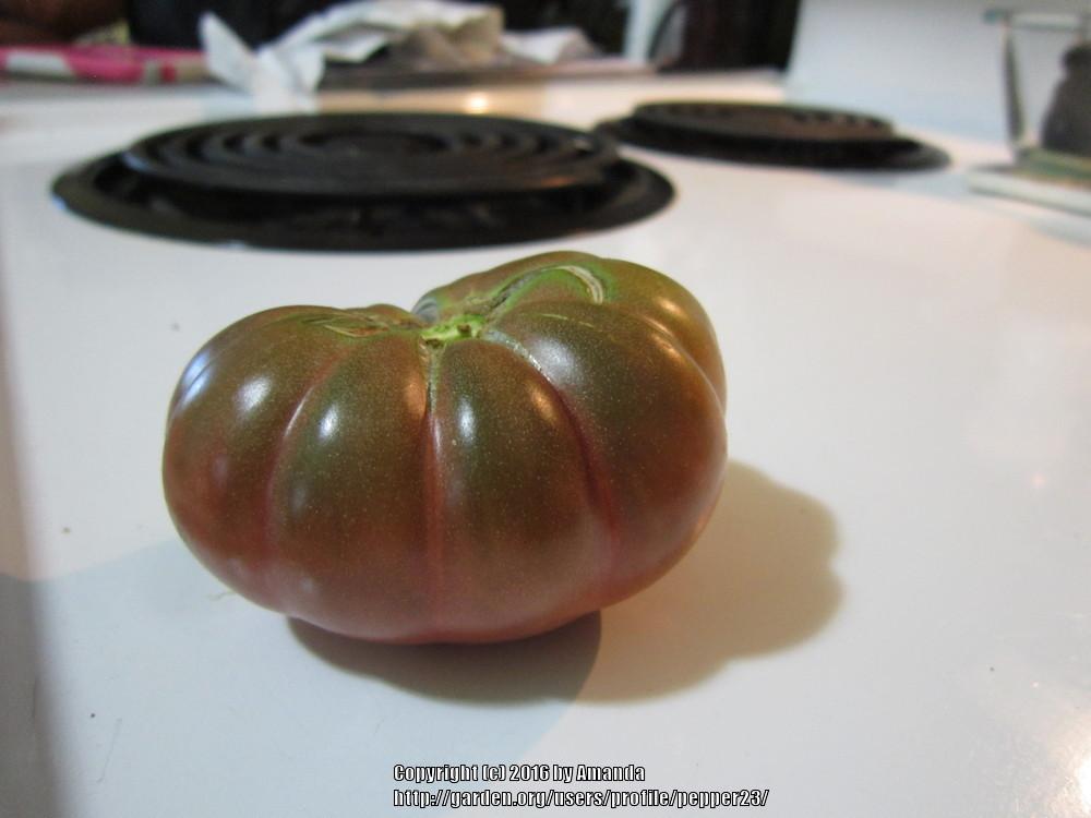 Photo of Tomato (Solanum lycopersicum 'Purple Calabash') uploaded by pepper23